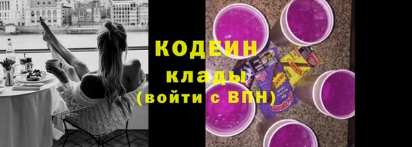 хмурый Алексин
