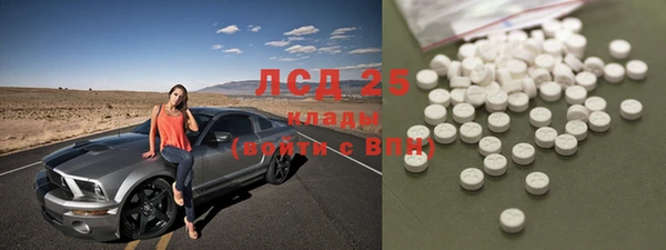 хмурый Алексин