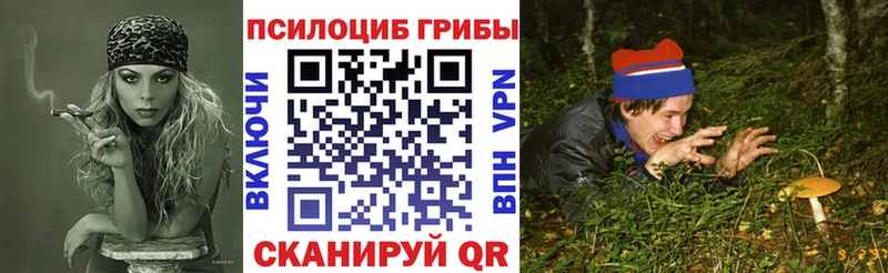 наркотики  кракен как войти  Псилоцибиновые грибы мицелий  Алатырь 